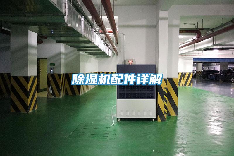 MR.好色破解版配件详解