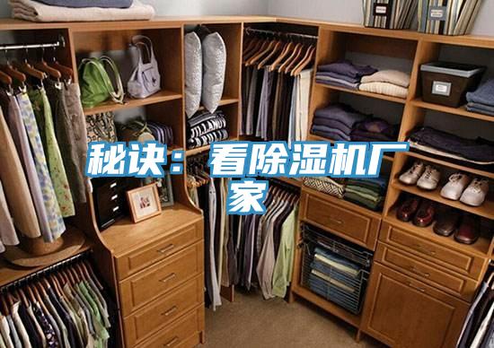 秘诀：看MR.好色破解版厂家
