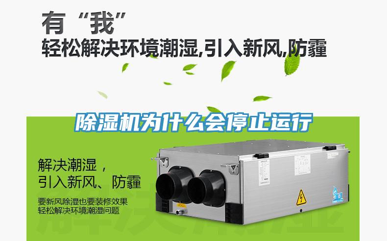 MR.好色破解版为什么会停止运行