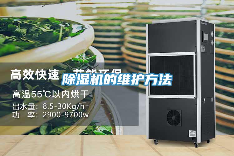 MR.好色破解版的维护方法