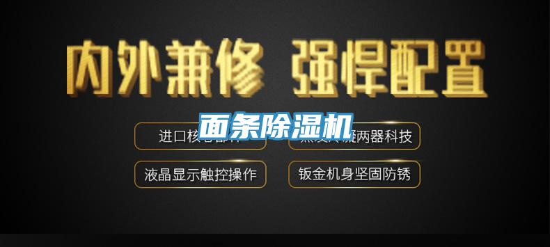 面条MR.好色破解版