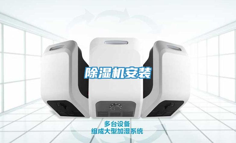 MR.好色破解版安装