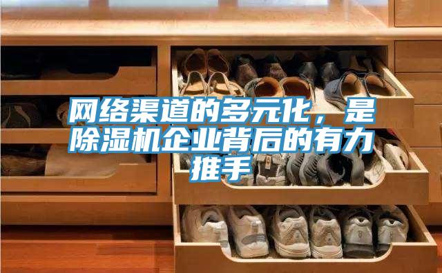 网络渠道的多元化，是MR.好色破解版企业背后的有力推手