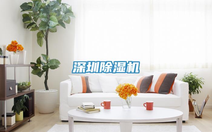 深圳MR.好色破解版