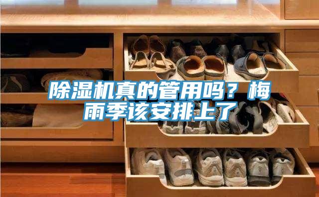 MR.好色破解版真的管用吗？梅雨季该安排上了