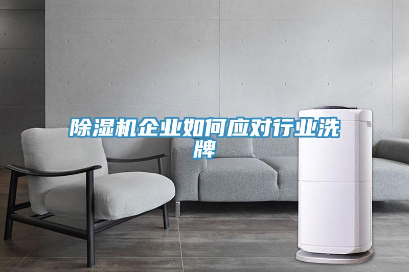 MR.好色破解版企业如何应对行业洗牌