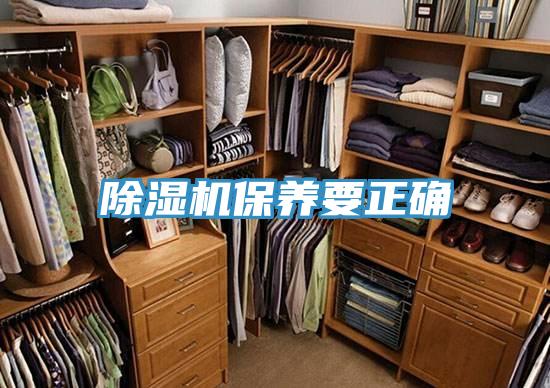 MR.好色破解版保养要正确