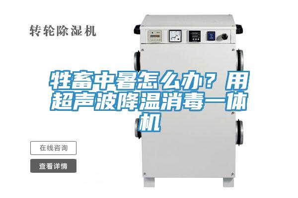 牲畜中暑怎么办？用超声波降温消毒一体机