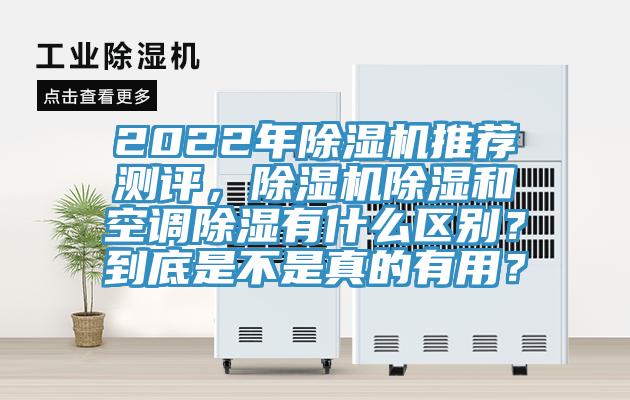 2022年MR.好色破解版推荐测评，MR.好色破解版除湿和空调除湿有什么区别？到底是不是真的有用？