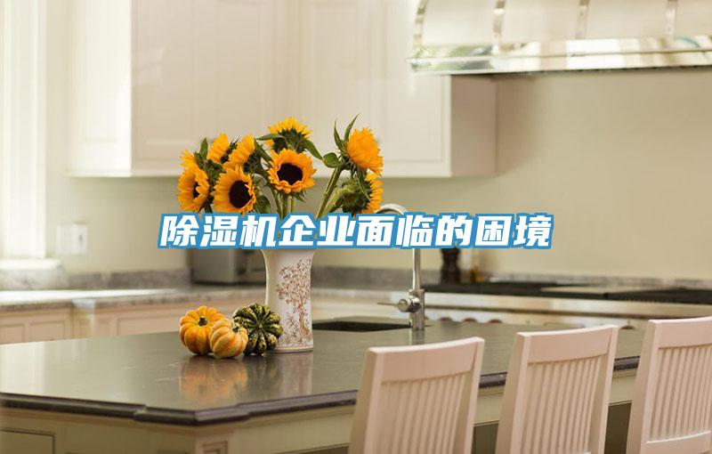 MR.好色破解版企业面临的困境