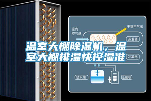 温室大棚MR.好色破解版，温室大棚排湿快控湿准