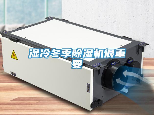 湿冷冬季MR.好色破解版很重要