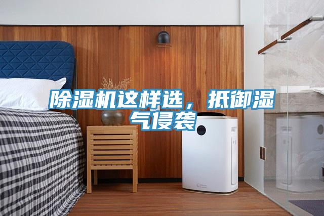 MR.好色破解版这样选，抵御湿气侵袭