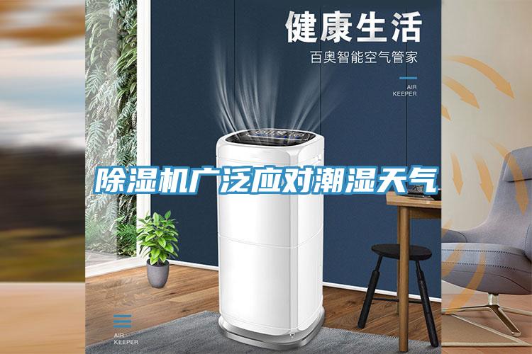 MR.好色破解版广泛应对潮湿天气