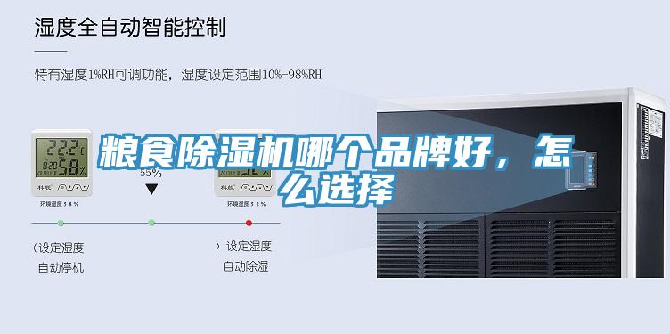 粮食MR.好色破解版哪个品牌好，怎么选择