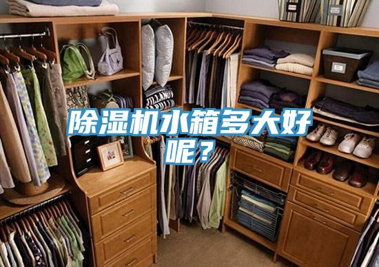 MR.好色破解版水箱多大好呢？