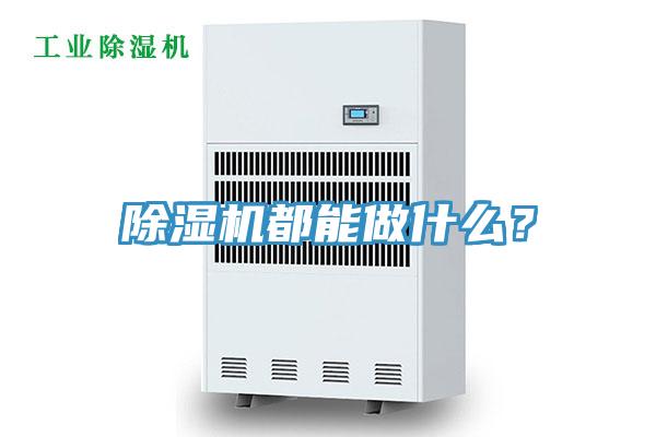MR.好色破解版都能做什么？