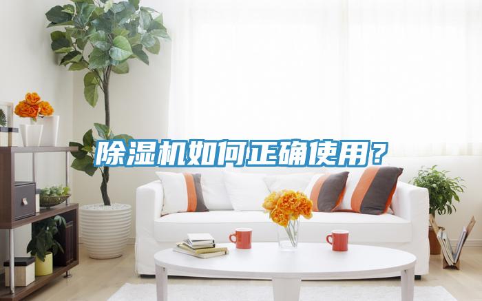 MR.好色破解版如何正确使用？