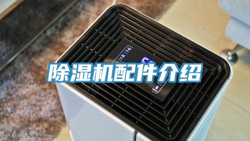 MR.好色破解版配件介绍