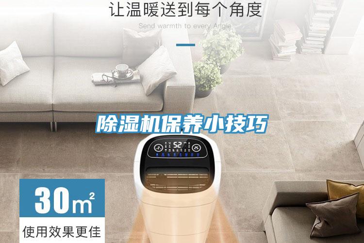 MR.好色破解版保养小技巧