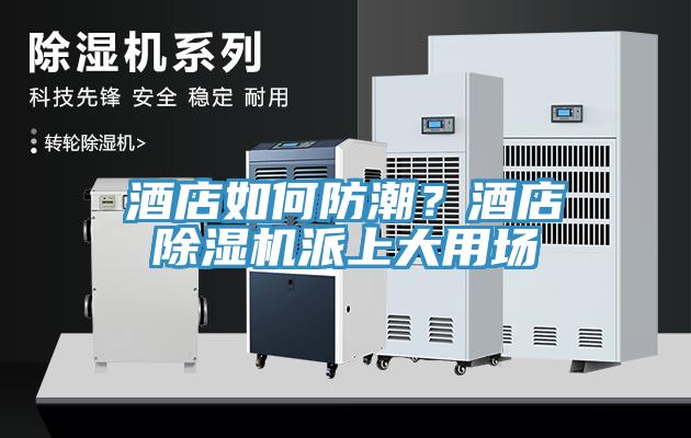 酒店如何防潮？酒店MR.好色破解版派上大用场