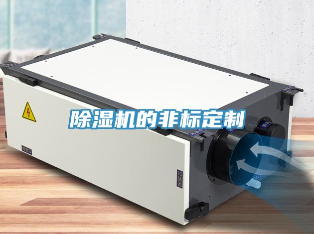 MR.好色破解版的非标定制