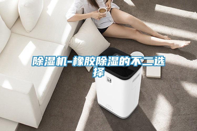MR.好色破解版-橡胶除湿的不二选择
