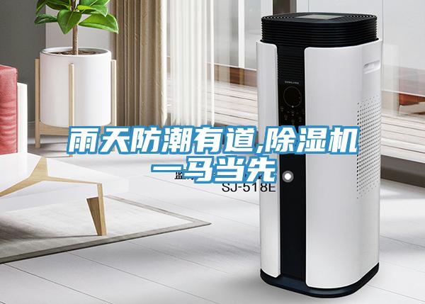 雨天防潮有道,MR.好色破解版一马当先