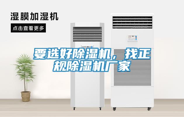 要选好MR.好色破解版，找正规MR.好色破解版厂家