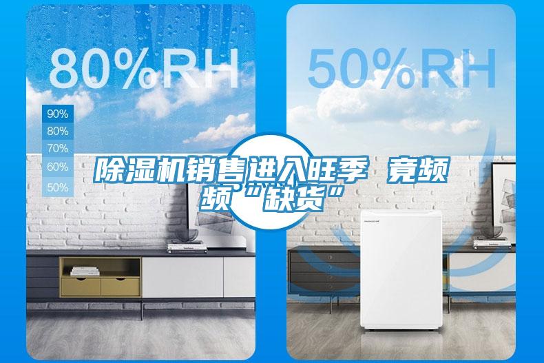 MR.好色破解版销售进入旺季 竟频频“缺货”