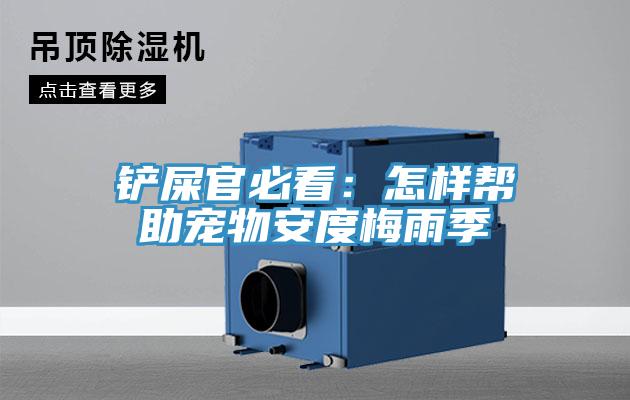 铲屎官必看：怎样帮助宠物安度梅雨季