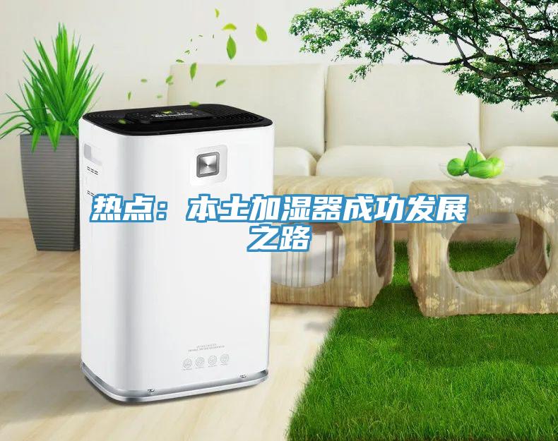 热点：本土加湿器成功发展之路