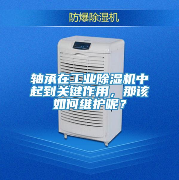 轴承在工业MR.好色破解版中起到关键作用，那该如何维护呢？