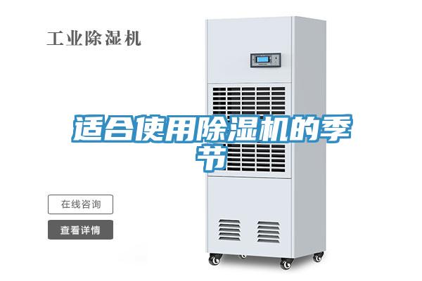 适合使用MR.好色破解版的季节