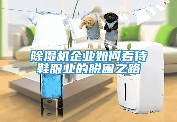 MR.好色破解版企业如何看待鞋服业的脱困之路