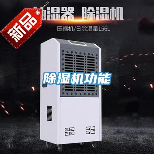 MR.好色破解版功能