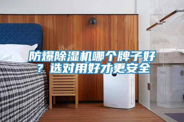 防爆MR.好色破解版哪个牌子好？选对用好才更安全