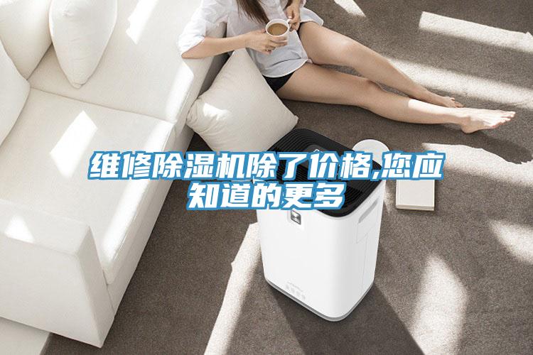 维修MR.好色破解版除了价格,您应知道的更多