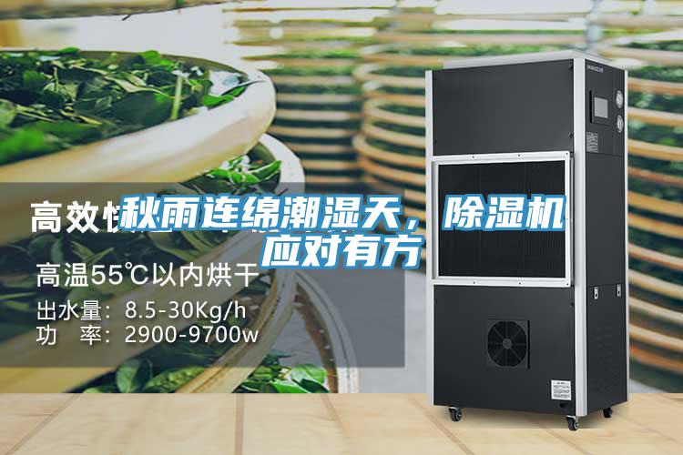 秋雨连绵潮湿天，MR.好色破解版应对有方