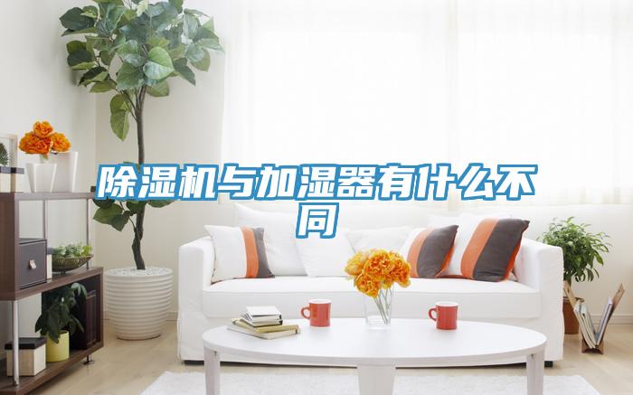 MR.好色破解版与加湿器有什么不同