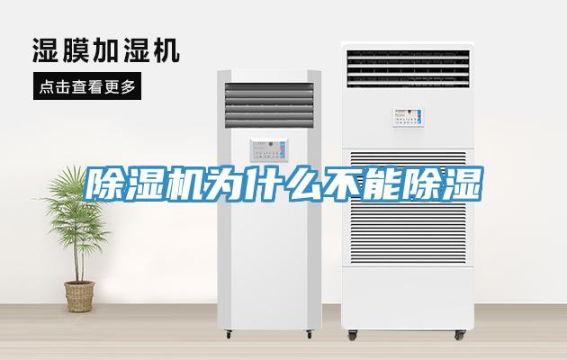 MR.好色破解版为什么不能除湿