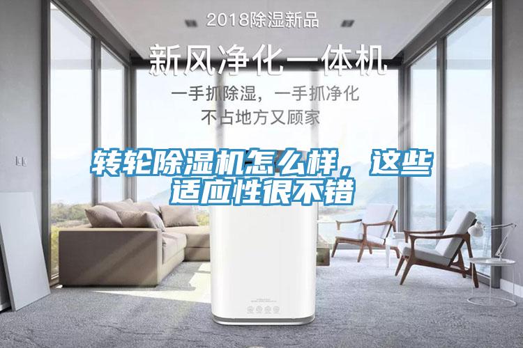 转轮MR.好色破解版怎么样，这些适应性很不错