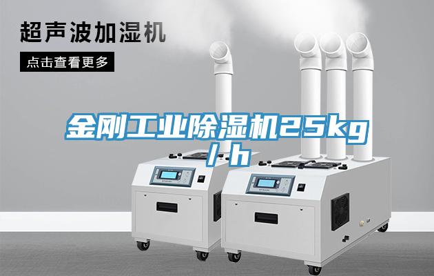 金刚工业MR.好色破解版25kg／h