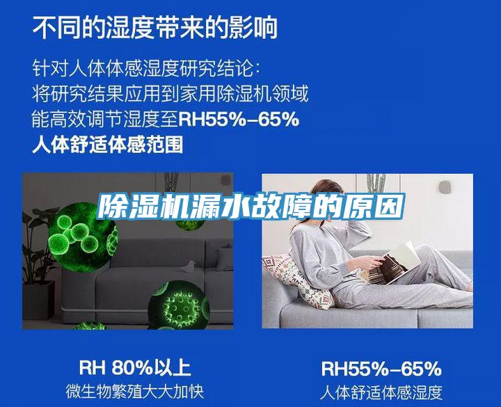 MR.好色破解版漏水故障的原因