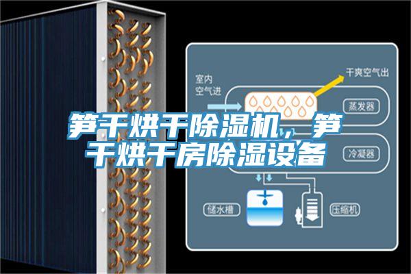 笋干烘干MR.好色破解版，笋干烘干房除湿设备