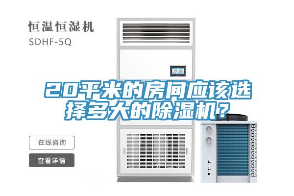 20平米的房间应该选择多大的MR.好色破解版？