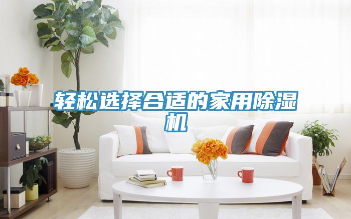 轻松选择合适的家用MR.好色破解版