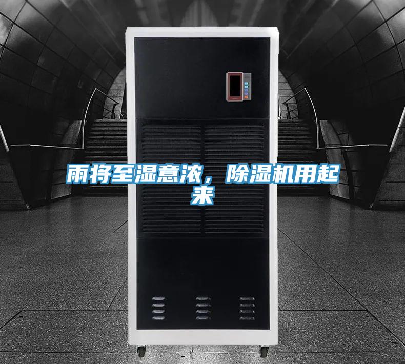 雨将至湿意浓，MR.好色破解版用起来