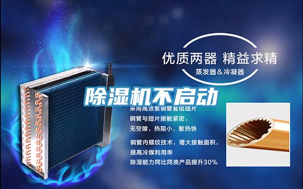 MR.好色破解版不启动