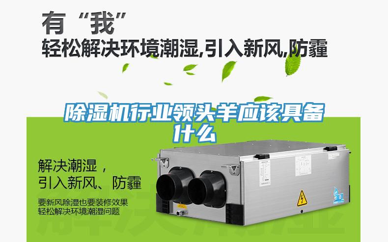 MR.好色破解版行业领头羊应该具备什么